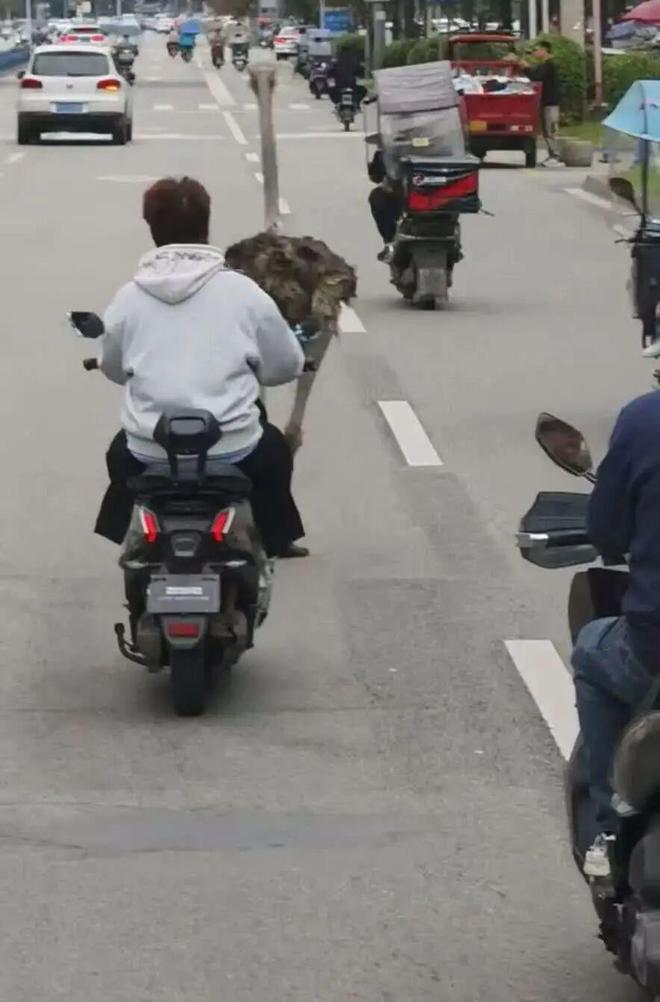 质疑:内存涨价太多苹果着手调查部分iPhone 17 Pro褪色J9数字平台理想回应MEGA 行驶中起火车主发声雷军谈K90定价(图10) 质疑:内存涨价太多苹果着手调查部分iPhone 17 Pro褪色J9数字平台理想回应MEGA 行驶中起火车主发声雷军谈K90定价(图10)