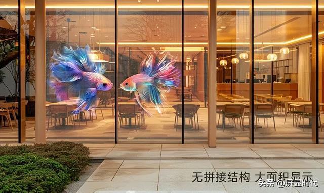 法师洲明全息显示开辟崭新沉浸式视觉时代j9九游会真人游戏第一定义空间的光显魔(图3)